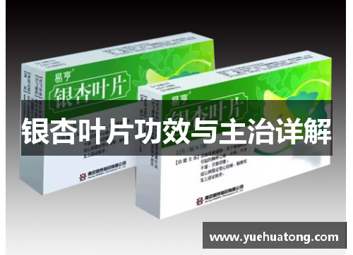 银杏叶片功效与主治详解